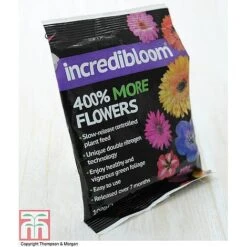 Clematis 'New Love' -Greenworld Zone z INCR T47963 E h3