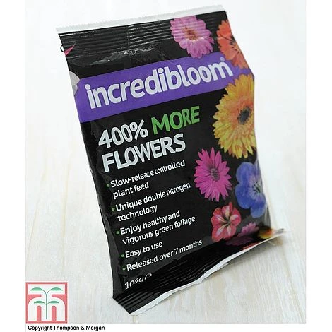 Acer Bold Duo 4 Acer Bold Duo - Image 4