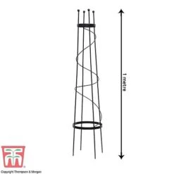 Clematis Duo Collection 7 Clematis Duo Collection -Greenworld Zone z OBEL KB0599 A201
